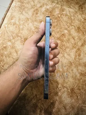 অ্যাপল আইফোন ১৩ প্রো ম্যাক্স ২৫৬ জিবি নীল