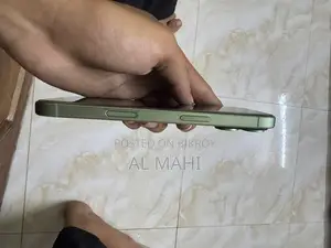 Apple iPhone 17 256 GB Green