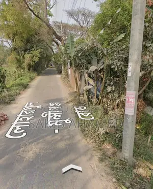 ১৩ শতাংশ বাড়ি বিক্রি হবে- রাস্তার পাশে