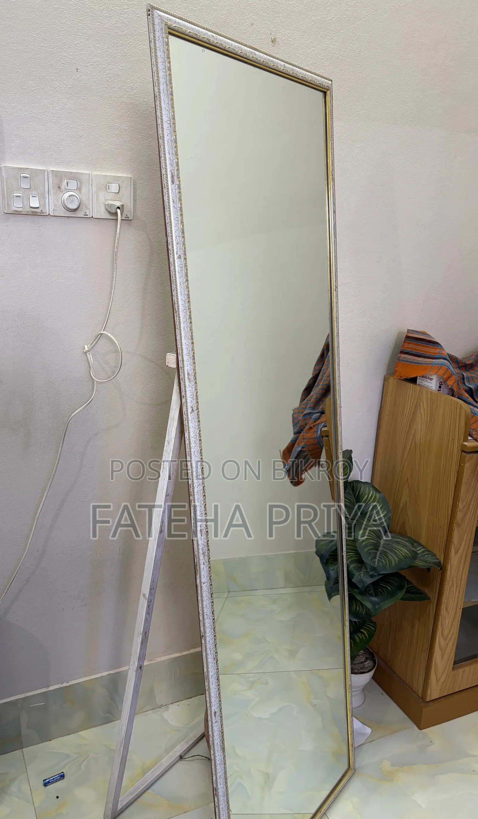 Standing Mirror