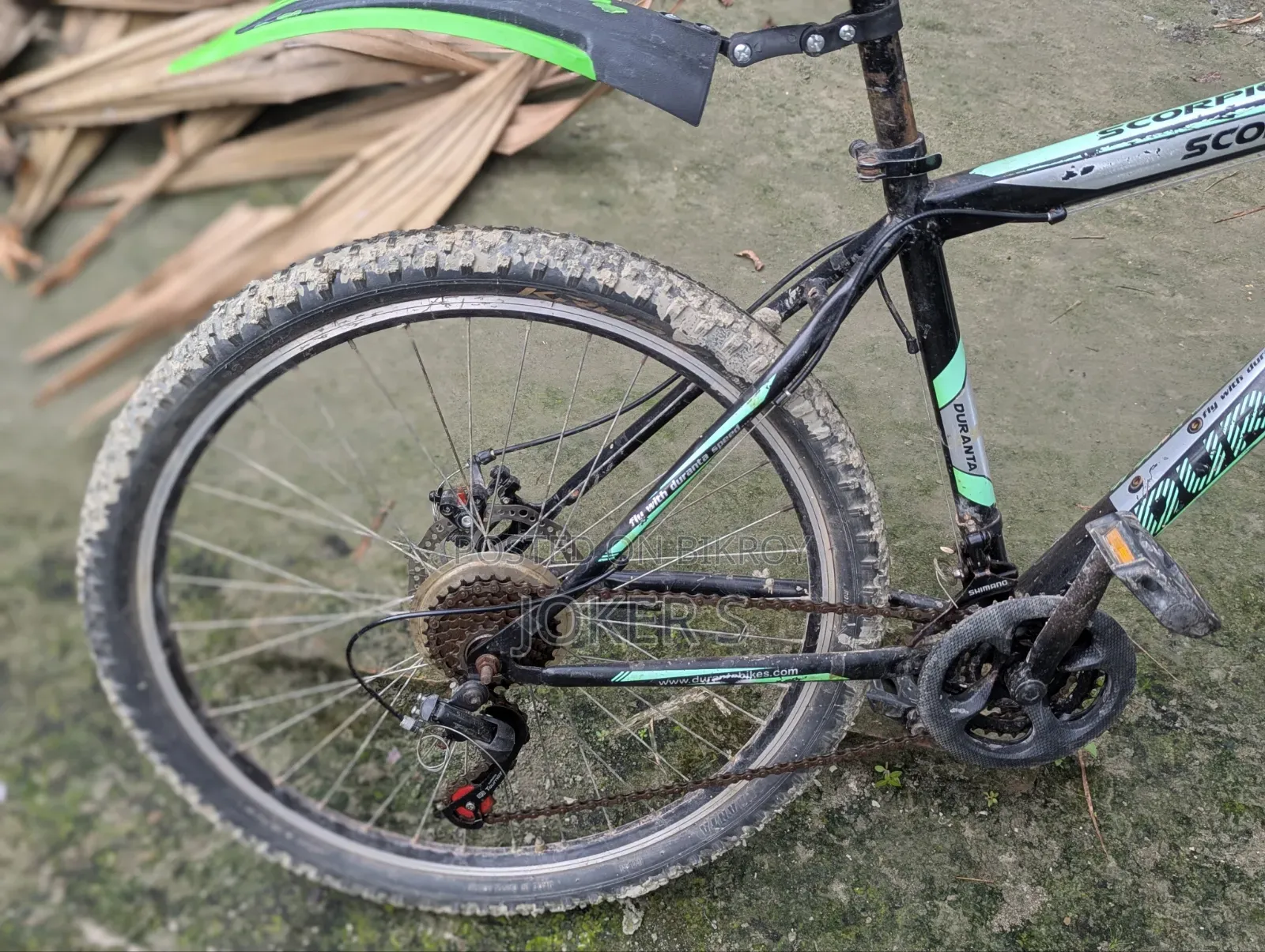 Durnota bicycle