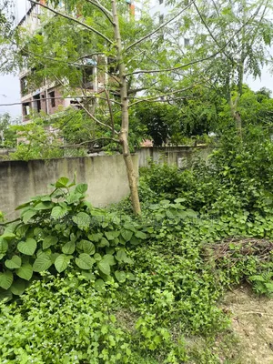 Purbachal, Near 300 Feet Road 3 Katha Plot Sale in Sector: 13.