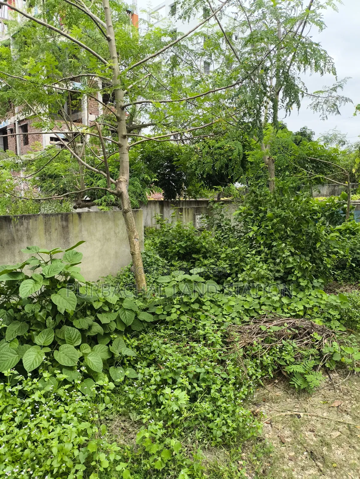 Purbachal, Near 300 Feet Road 3 Katha Plot Sale in Sector: 13.