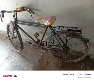 Phoenix Bicycle