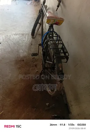 Phoenix Bicycle