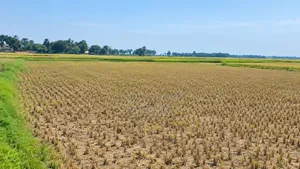 25 Katha Land Near Rajshahi City for Sale