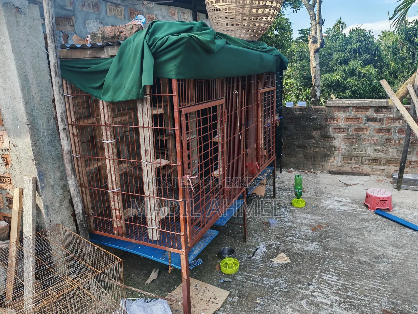 Large Cage Made With Belgian Rod