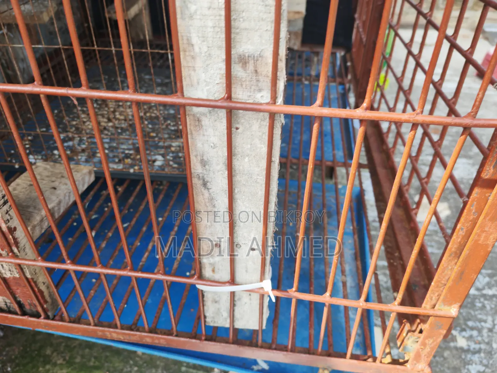 Large Cage Made With Belgian Rod