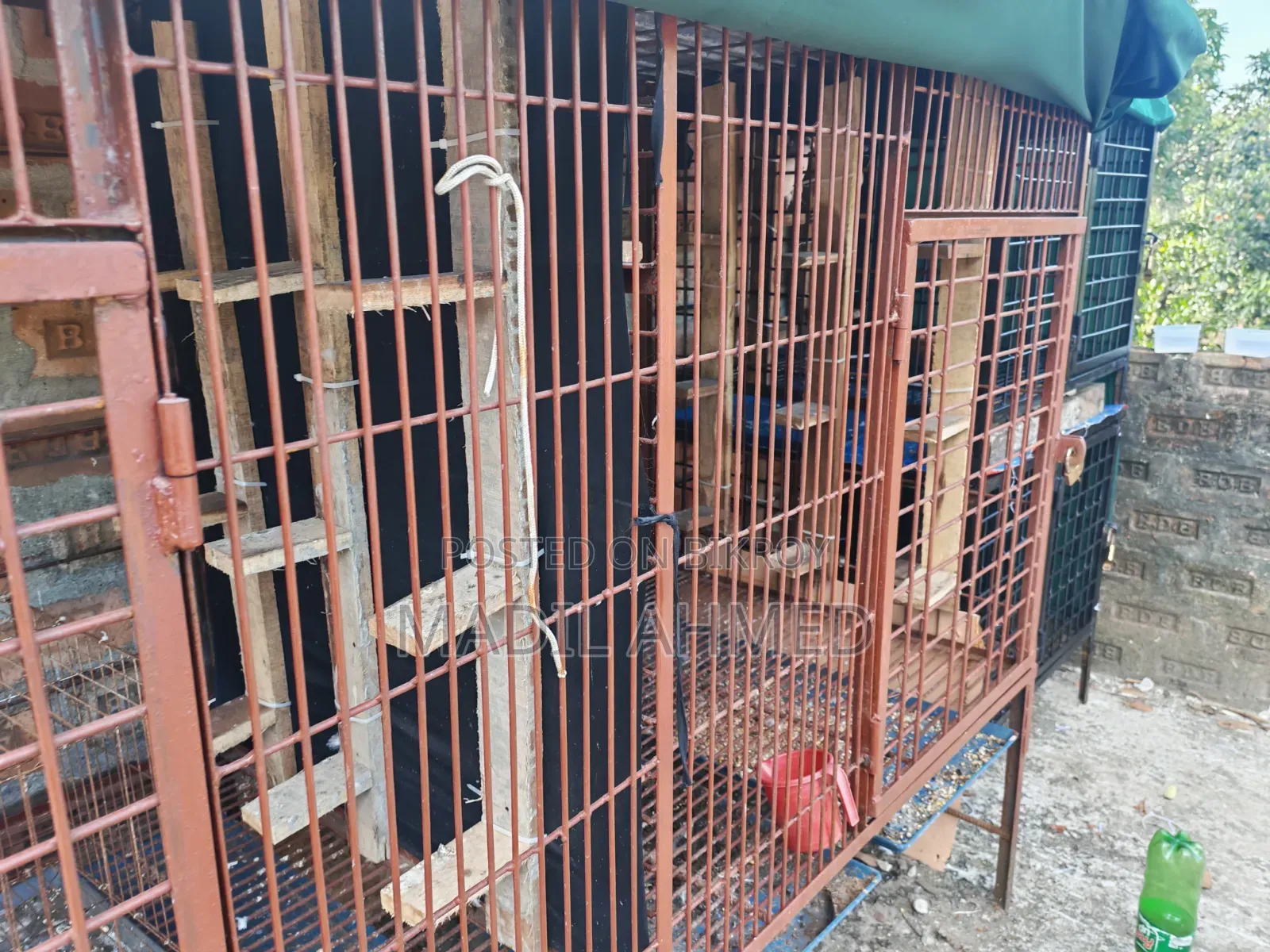 Large Cage Made With Belgian Rod