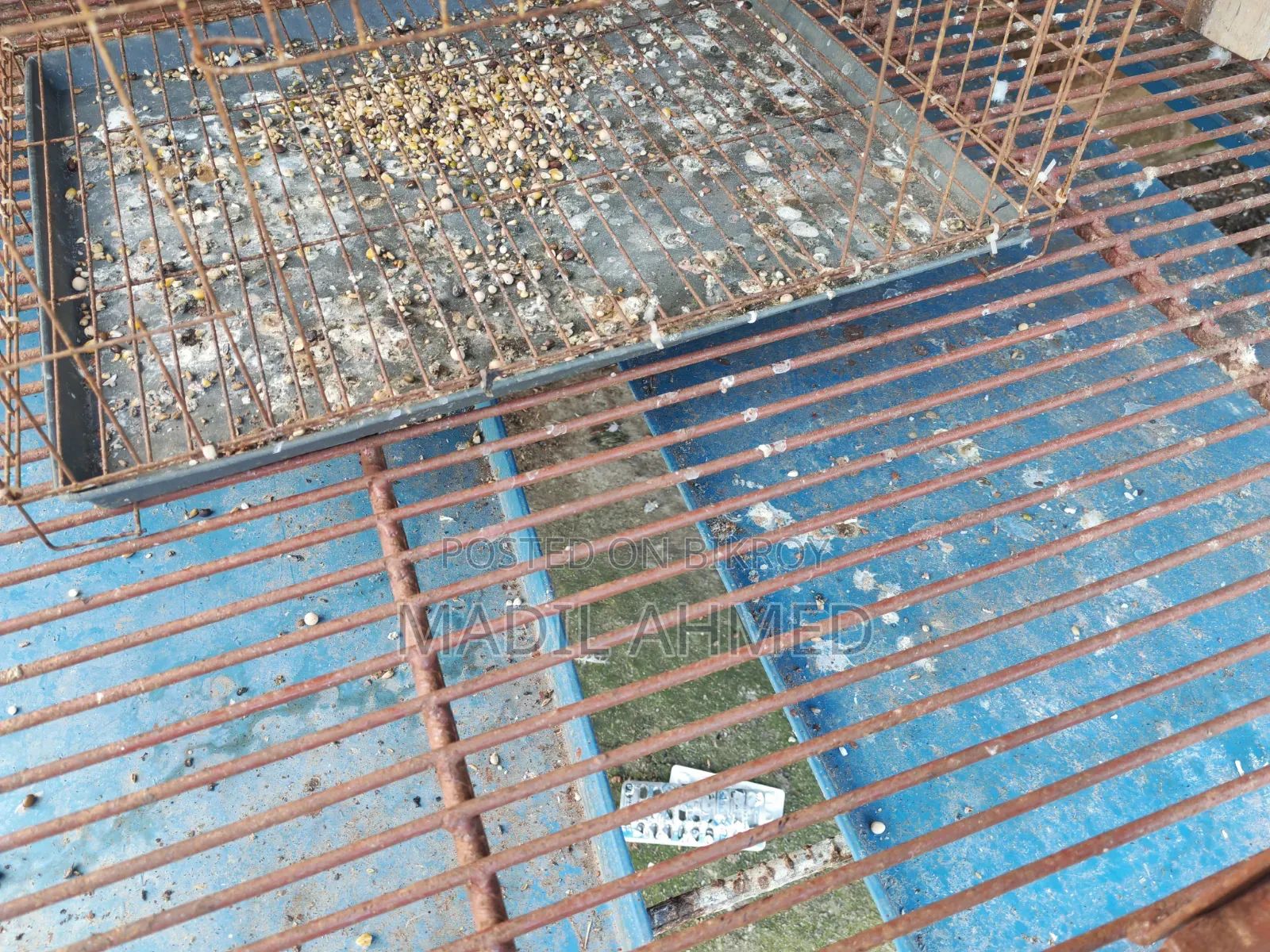Large Cage Made With Belgian Rod