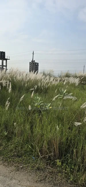 Uttara 3rd Phase Sector -17/D, North Facing Allotted Plot Sell