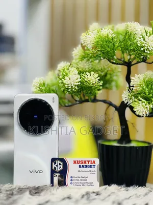 Vivo X200 Pro 256 GB White