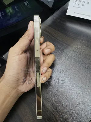 অ্যাপল আইফোন ১৩ প্রো ম্যাক্স ১২৮ জিবি গোল্ড