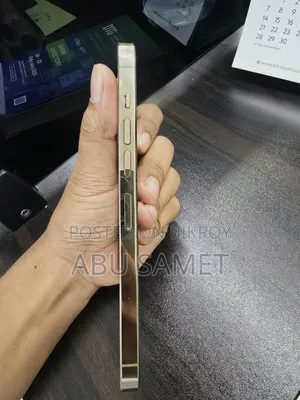 অ্যাপল আইফোন ১৩ প্রো ম্যাক্স ১২৮ জিবি গোল্ড