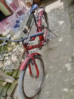 Seventy One Cycle