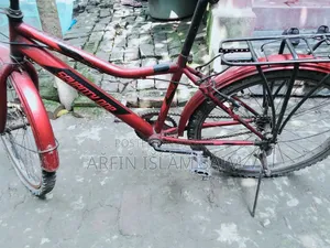 Seventy One Cycle
