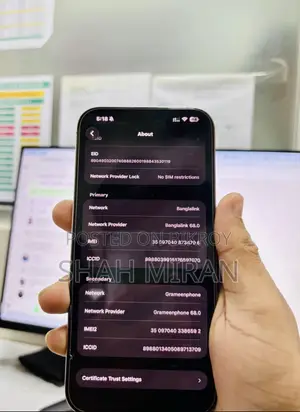 Apple iPhone 16 Pro Max 256 GB