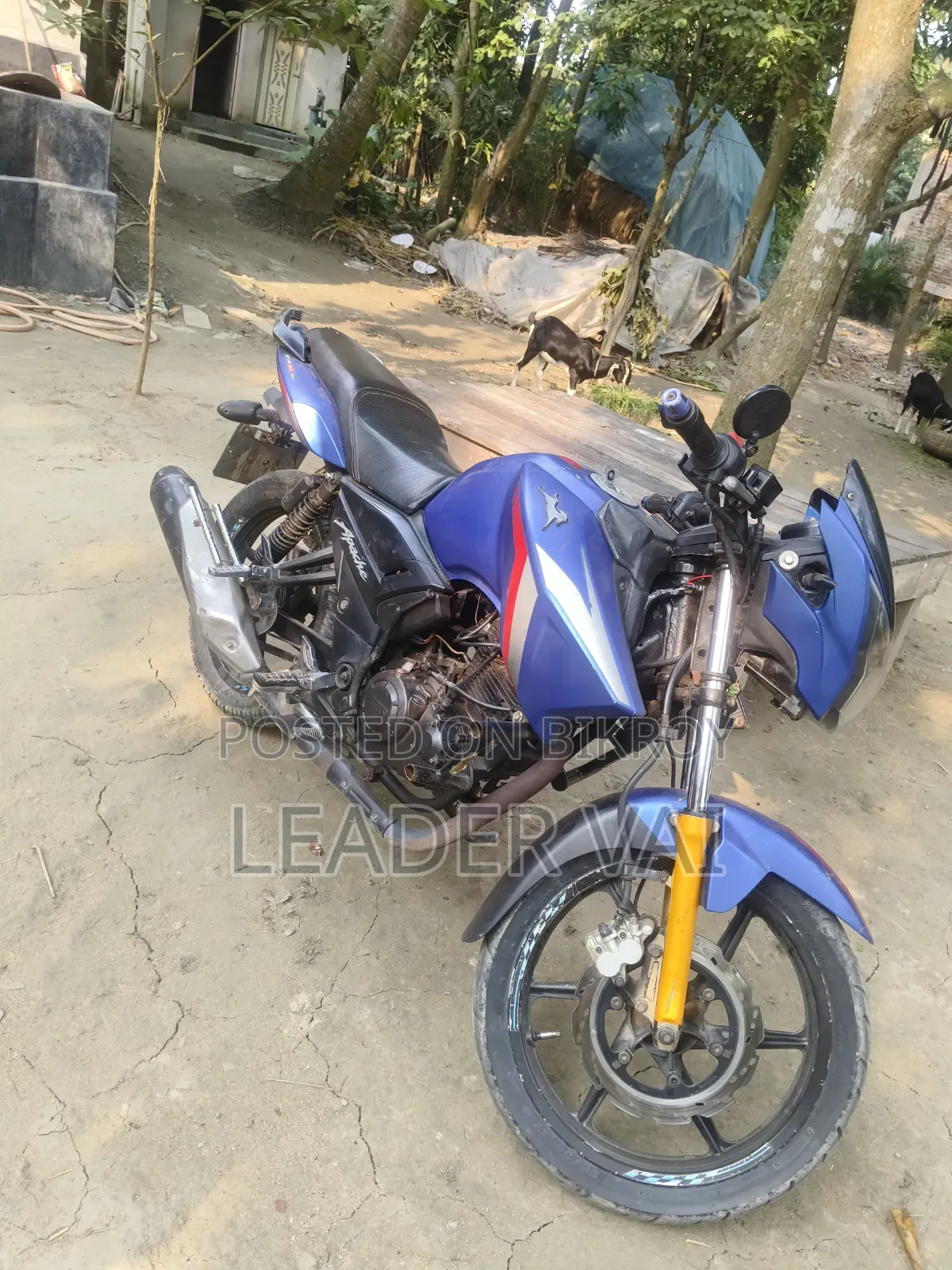 TVS Apache RTR 160 2V 2017 নীল