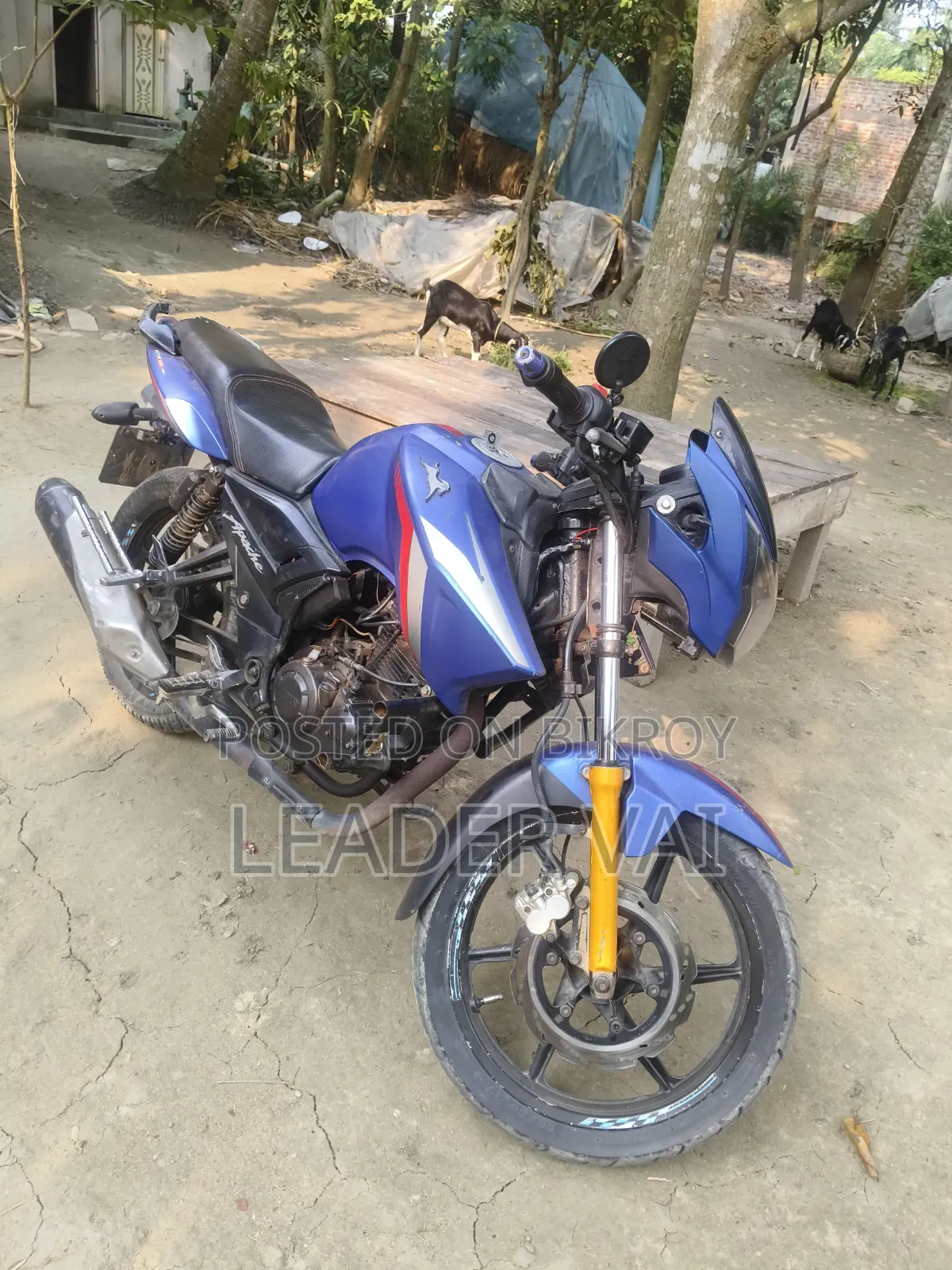 TVS Apache RTR 160 2V 2017 নীল