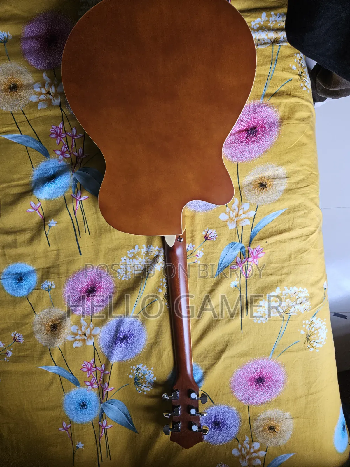 Acoustic Guitar