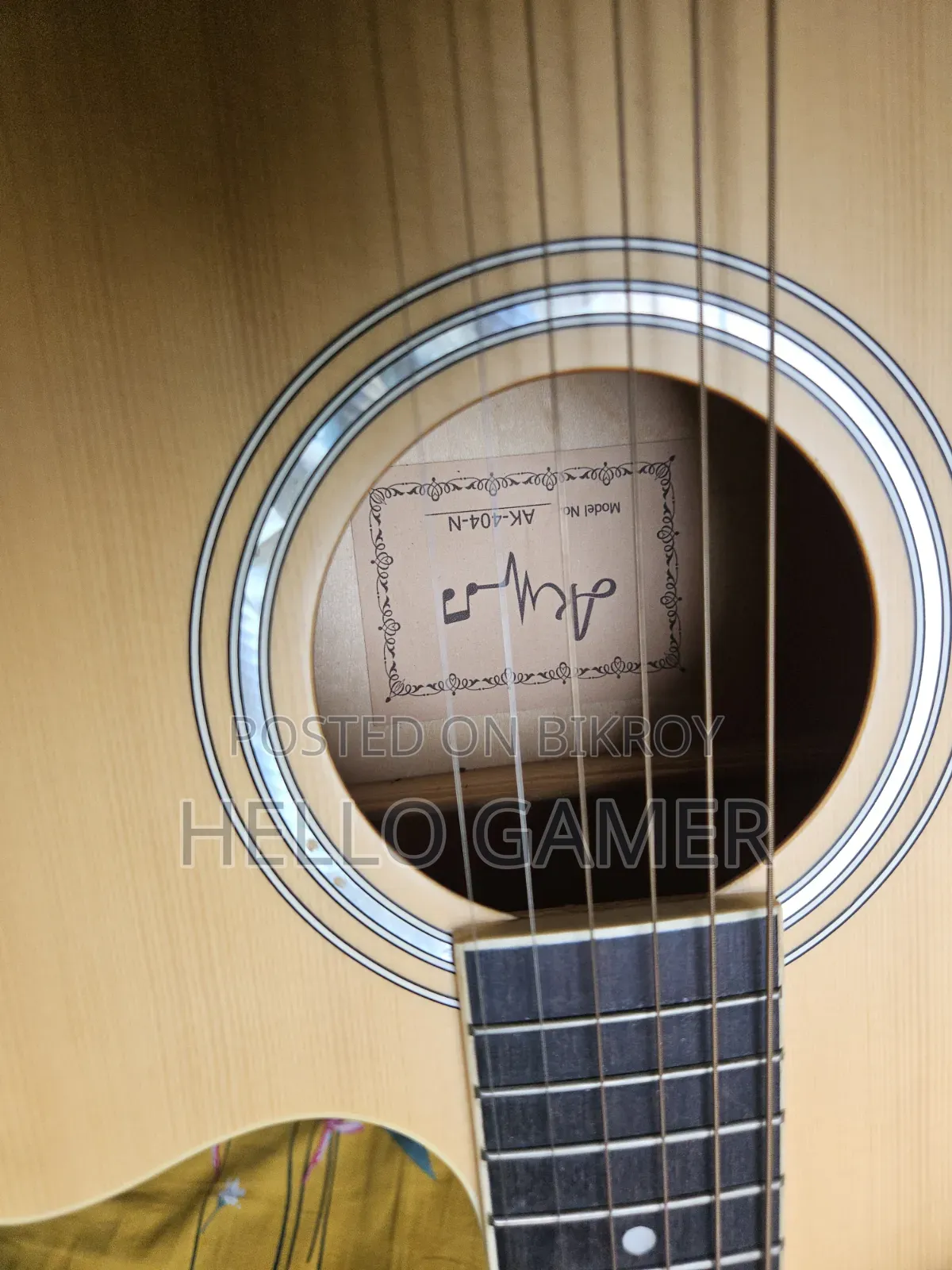 Acoustic Guitar