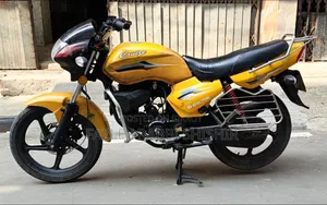 Walton Cruize 2014 Yellow