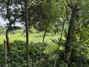 Land for sale 3.75 decimals Faridpur Municipality