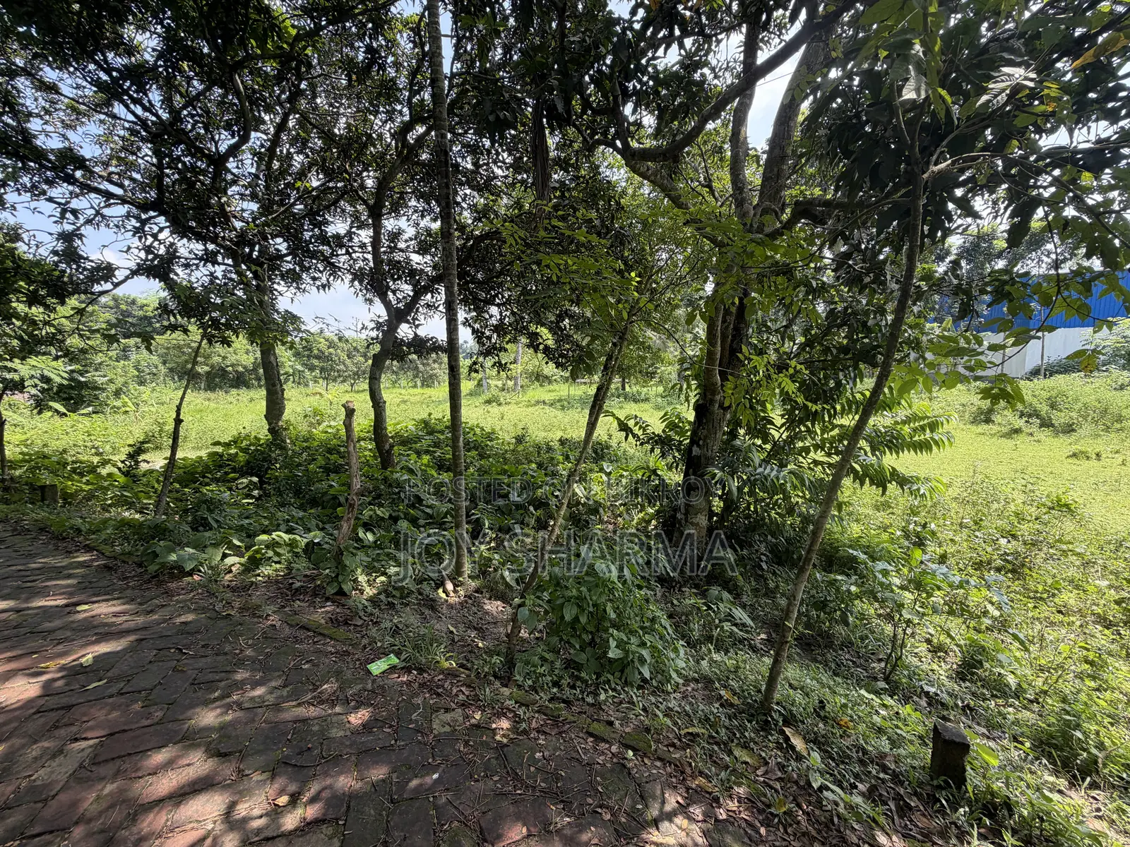 জমি বিক্রয় হবে ৩.৭৫ শতাংশ ফরিদপুর পৌরসভা