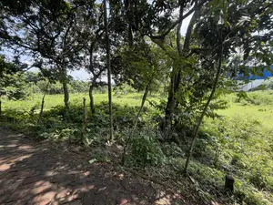 জমি বিক্রয় হবে ৩.৭৫ শতাংশ ফরিদপুর পৌরসভা