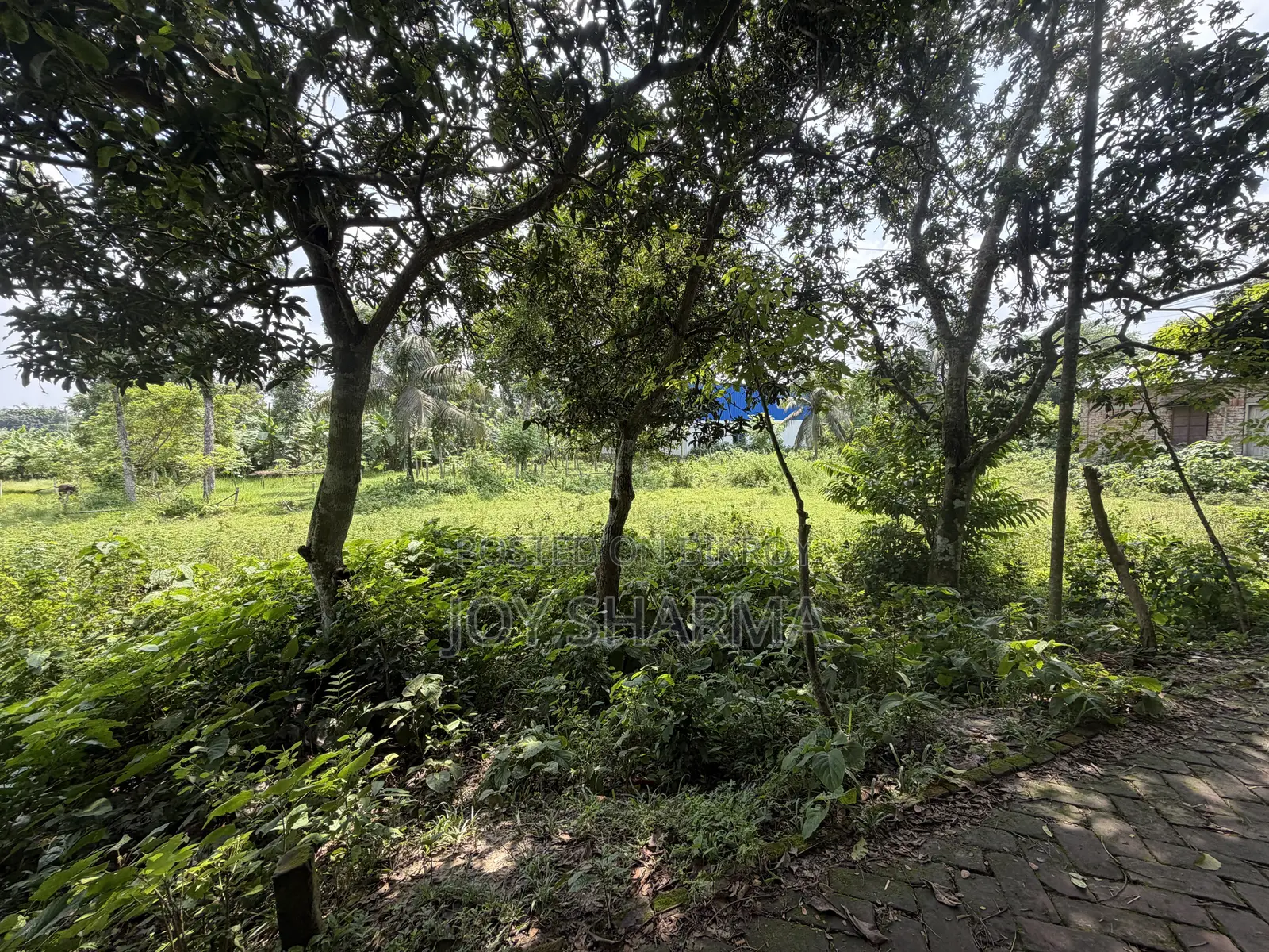 জমি বিক্রয় হবে ৩.৭৫ শতাংশ ফরিদপুর পৌরসভা