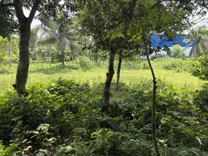 জমি বিক্রয় হবে ৩.৭৫ শতাংশ ফরিদপুর পৌরসভা