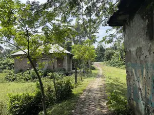 জমি বিক্রয় হবে ৩.৭৫ শতাংশ ফরিদপুর পৌরসভা
