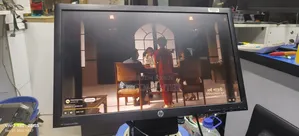 24" HP Monitors