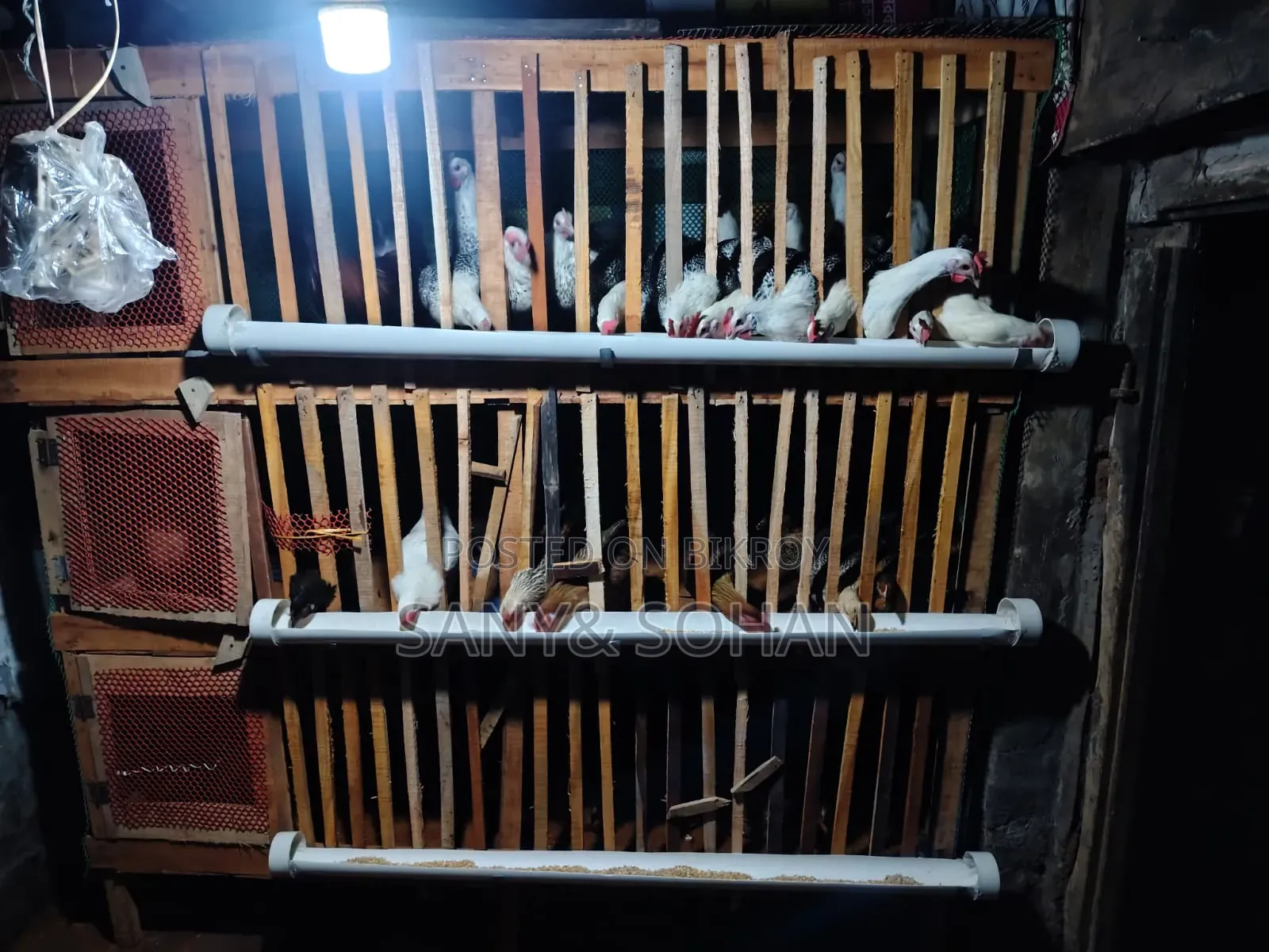 Cage for Sale