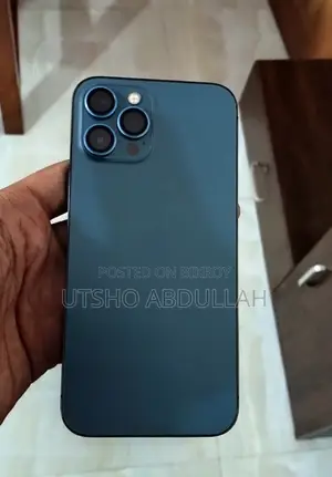 অ্যাপল আইফোন ১২ প্রো ম্যাক্স ১২৮ জিবি ব্লু