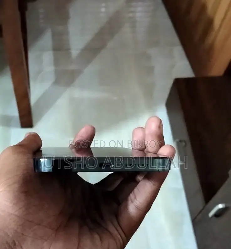 অ্যাপল আইফোন ১২ প্রো ম্যাক্স ১২৮ জিবি ব্লু