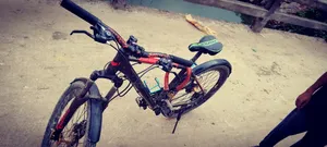 ফ্রেশ কন্ডিশন