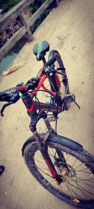 ফ্রেশ কন্ডিশন