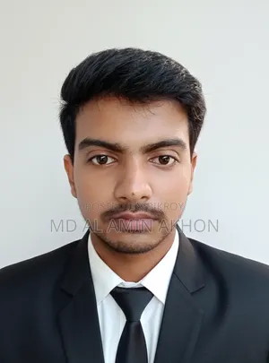 অভিজ্ঞ সেলস এক্সিকিউটিভ ডেলিভারি প্রফেশনাল