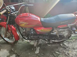 হিরো ডন ১০০ ২০১৪ লাল