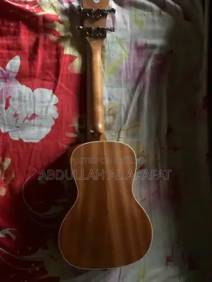 Tayste TUK200-24 24-Inch Concert Ukulele. Pig