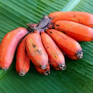 সূর্যমুখী কলা বিক্রি হবে