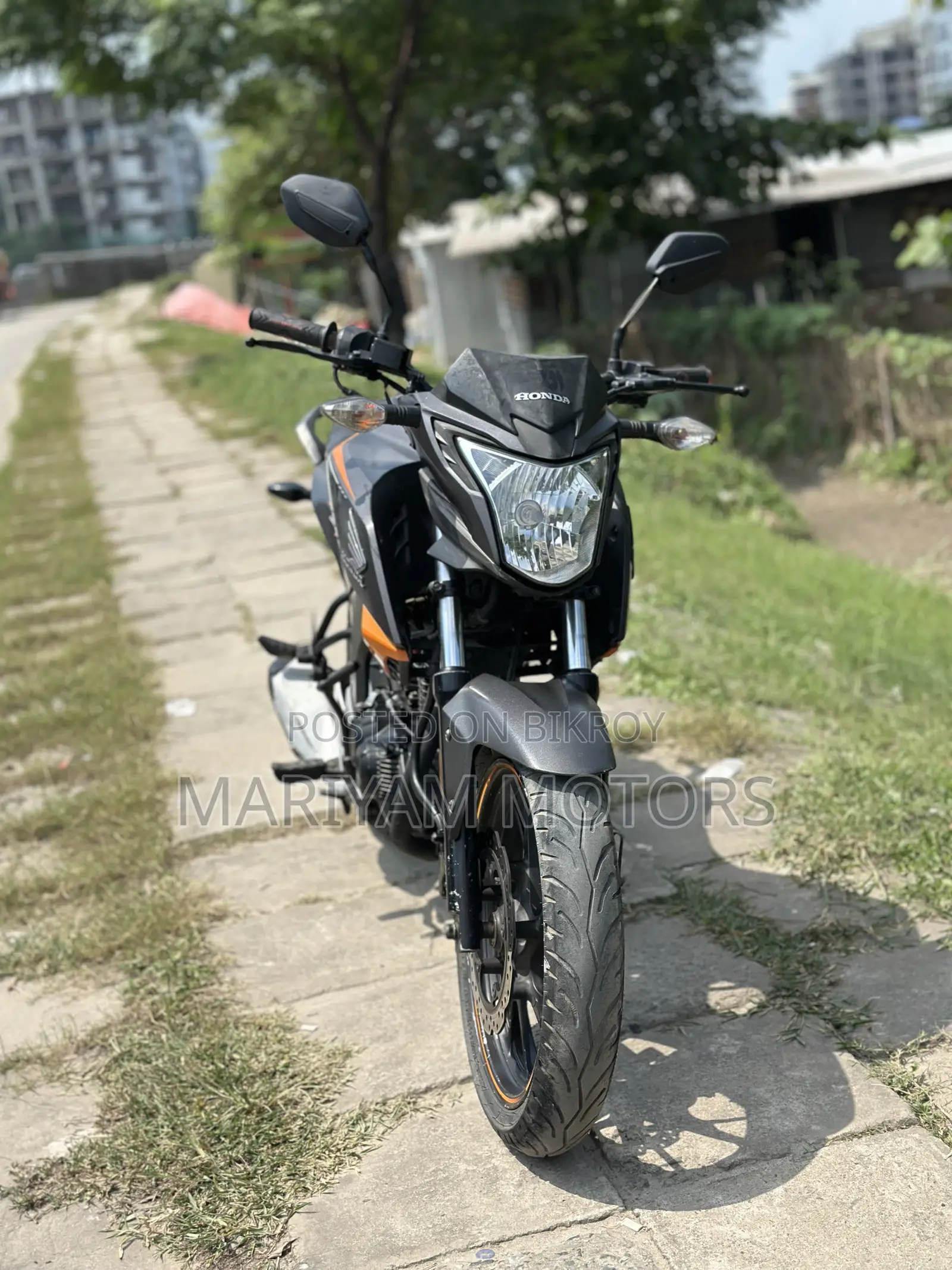 Honda Hornet 2019 Gray