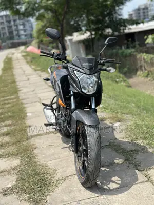 Honda Hornet 2019 Gray