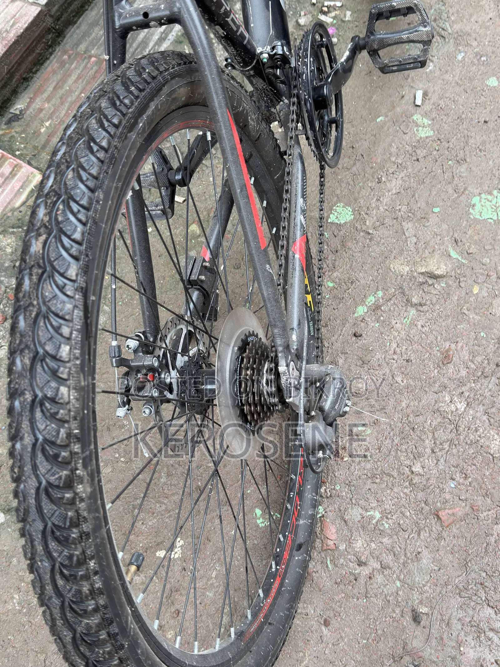 Veloce Slayer 1.0 Cycle