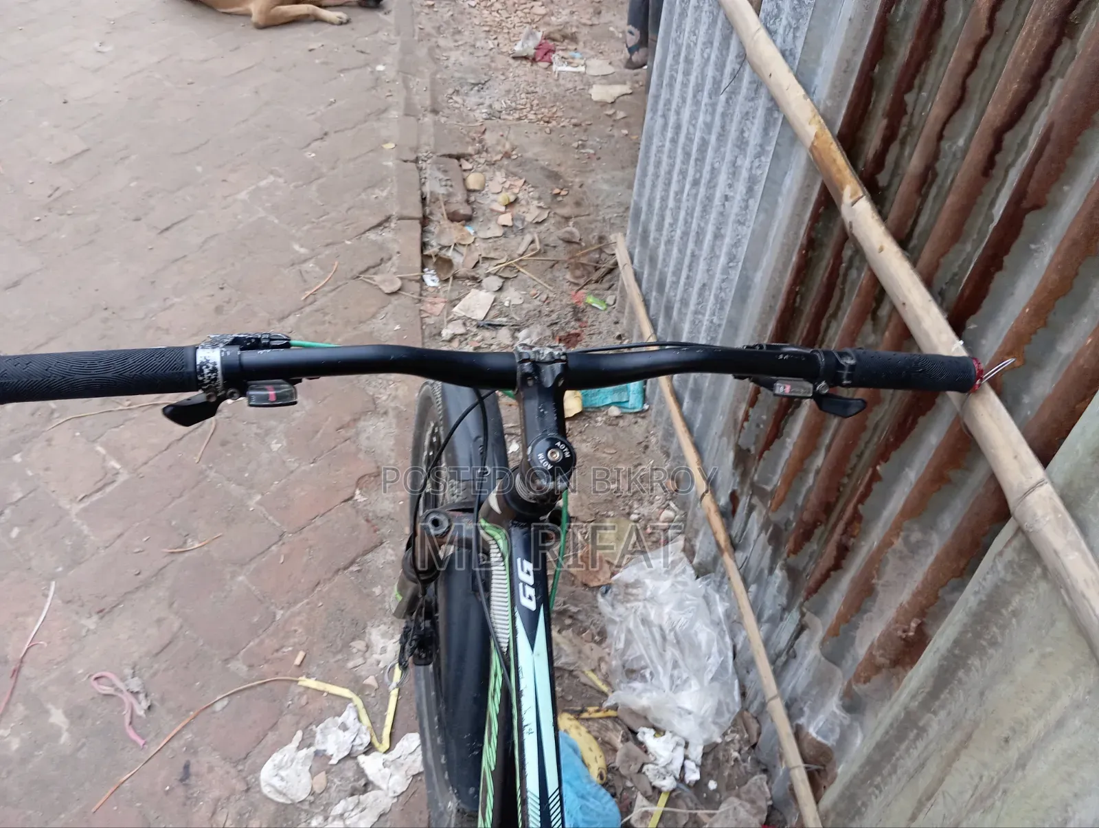 Focus Bicycle