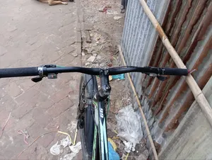 Focus Bicycle