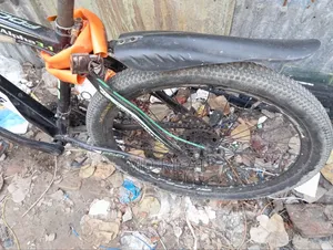 Focus Bicycle
