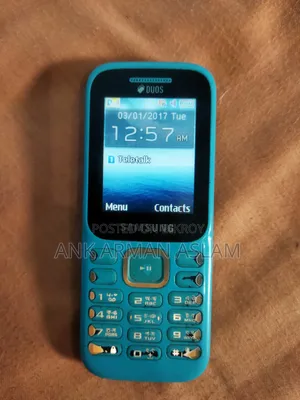 Samsung Guru Music 2