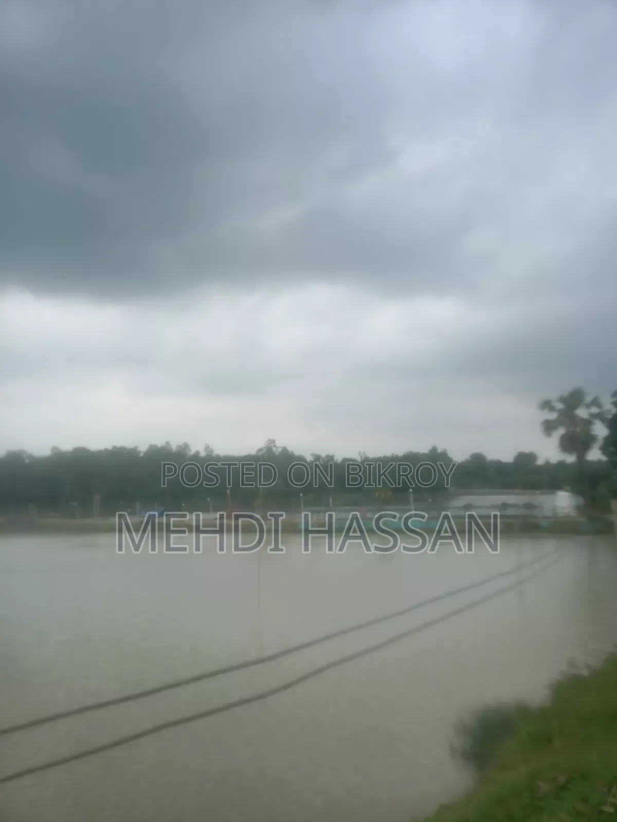গাজীপুরে মাছের খামারের৮শতাংশ জমি বিক্রি বছরে প্রায় ১১হাজার টাকা ভাড়া